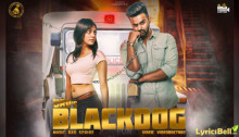 blackdog-grv